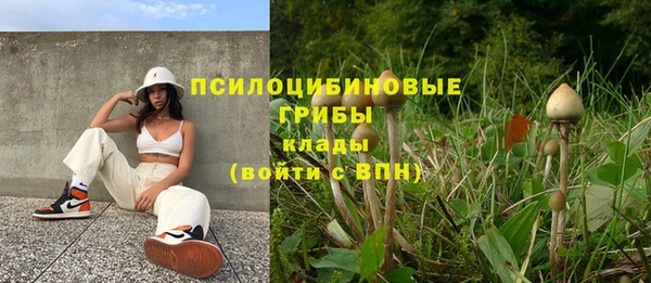 индика Абаза
