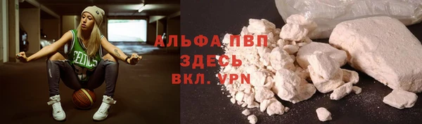 индика Абаза