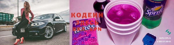 индика Абаза