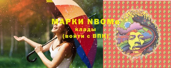 индика Абаза