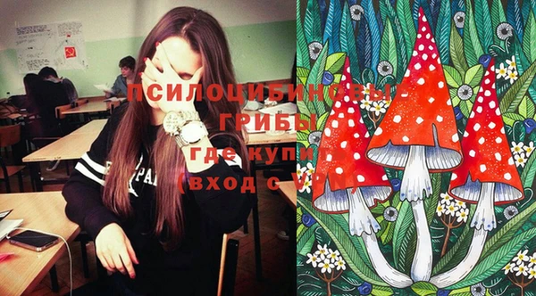 MESCALINE Нязепетровск