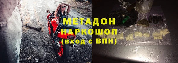 индика Абаза