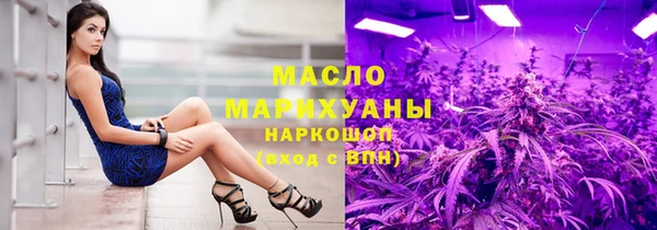 индика Абаза