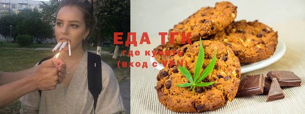 индика Абаза