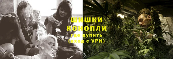индика Абаза
