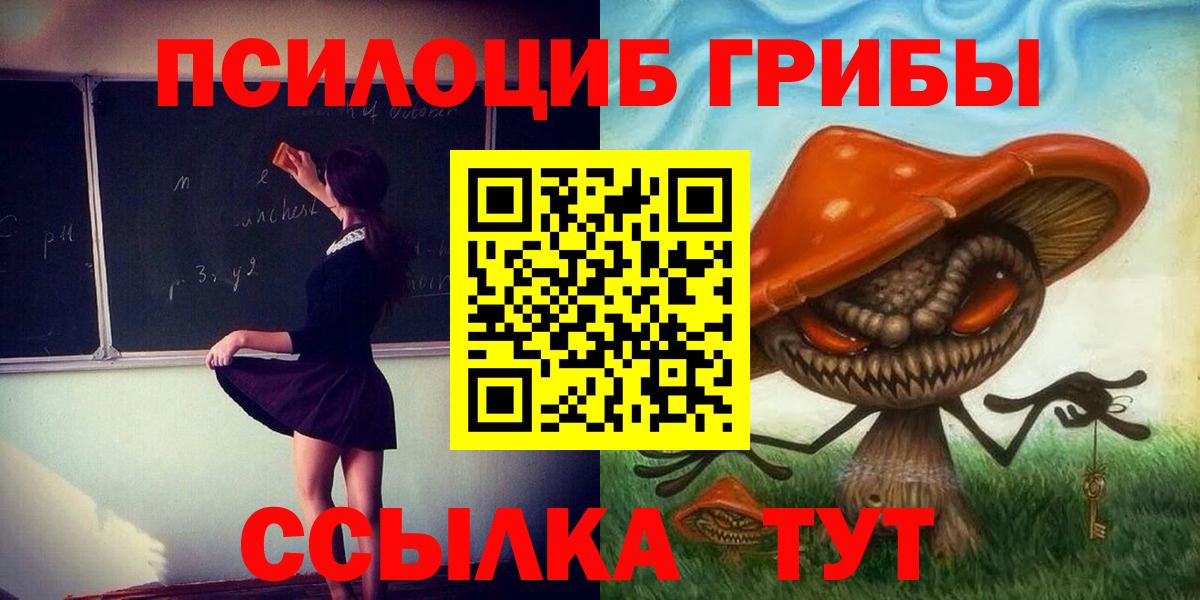 Галлюциногенные грибы Psilocybe  Вход с VPN  Химки 