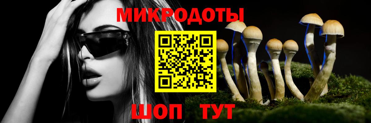 Галлюциногенные грибы прущие грибы Химки